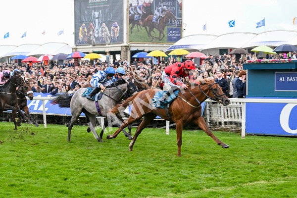 121024-Race 4-Fearless Freddy-3159 - Race 4 3.15pm Play Coral Racing-Super-Series For Free Nursery Handicap