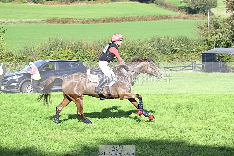 251024A-144035-13272 - C-206-Madison.Tapner