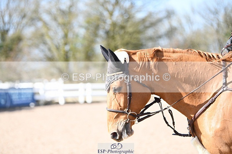 250330-104057-06219 - Cls 32 British Novice and 90cm