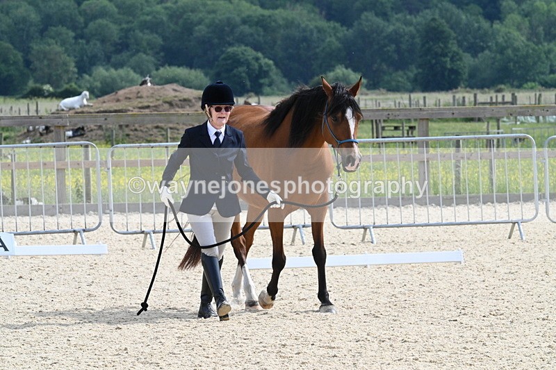 WJ7_8197 - Time 16:10 to 16:25