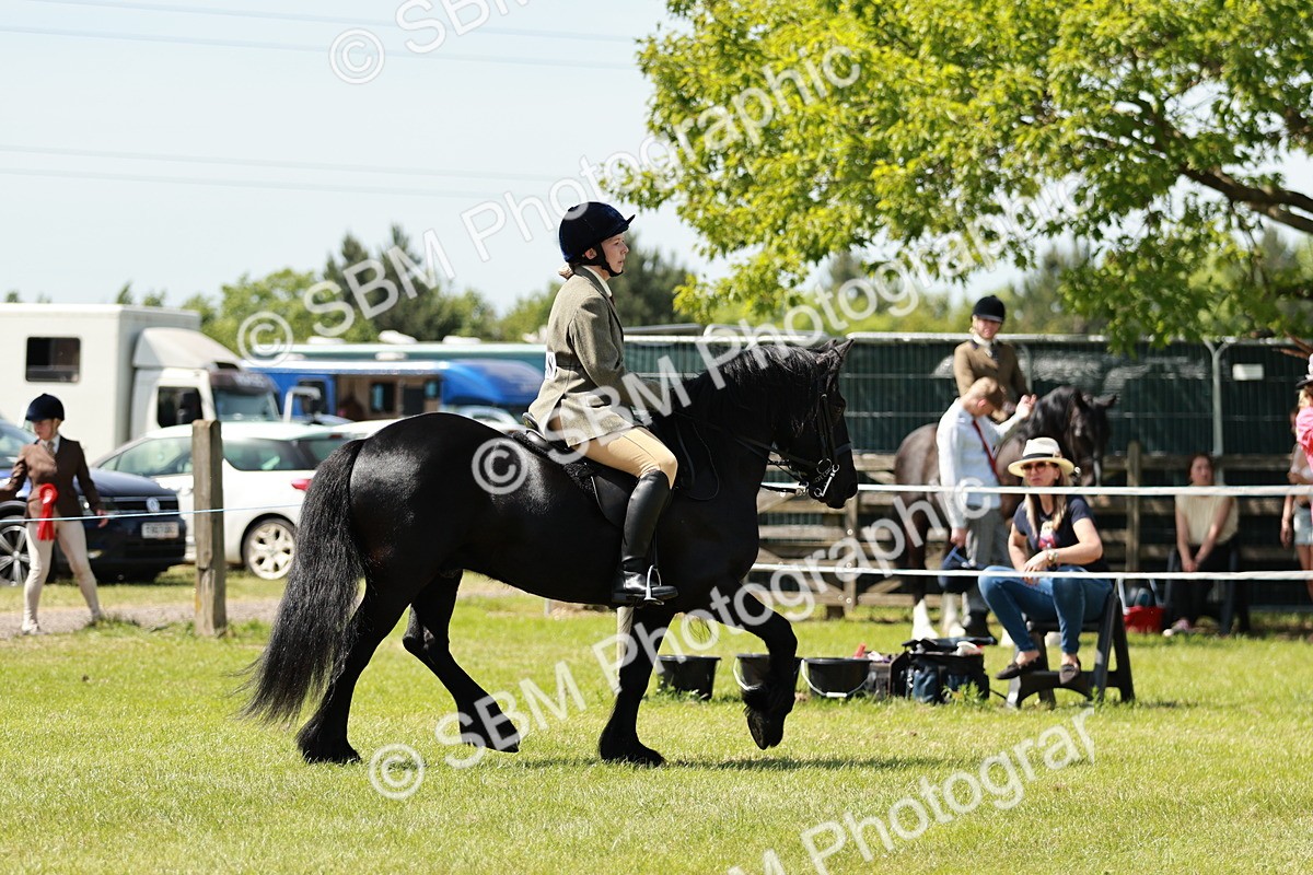 SBM_07043 - Class 26-30 - Mountain and Moorland Ridden