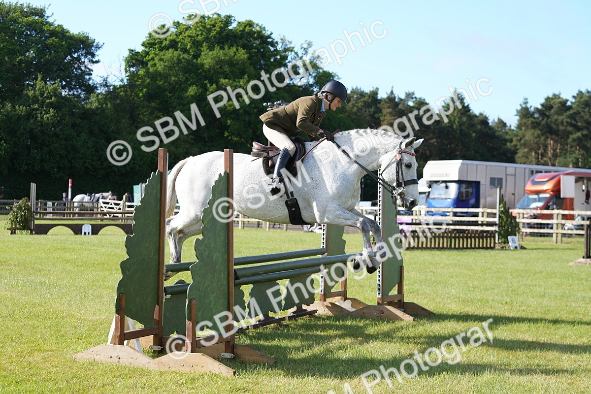SBM_10558 - Class 97-98 - LIHS BSHA Rising Star Working Show Horse Hunter