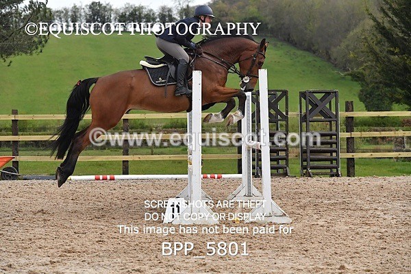 BPP_5801 - CLASS 24 SUN Senior British Novice/ 90cm Open
