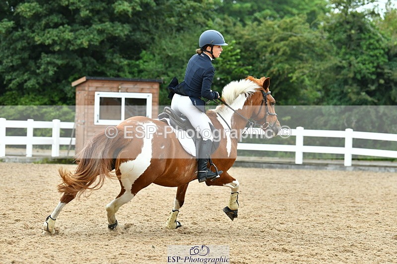 230730A-095731-08397 - Cls 31 British Novice & 90cm Open