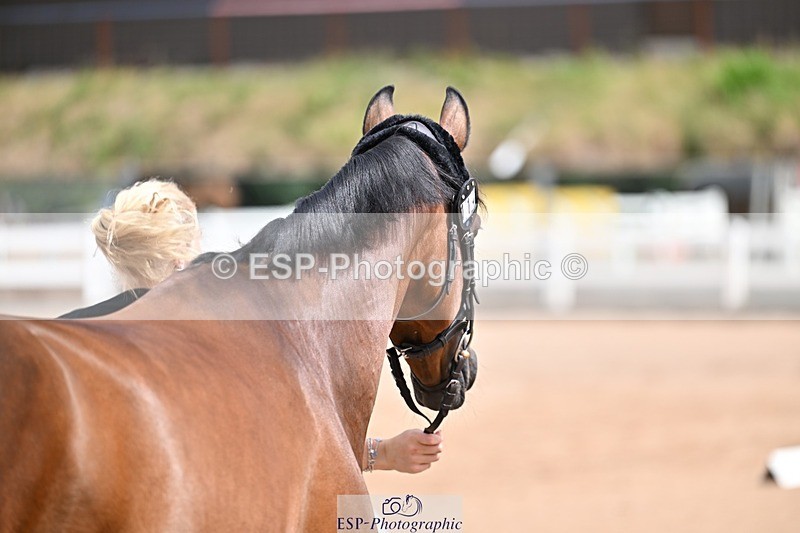 250716-132023-00437 - Trot Up 12.30 to 1.30