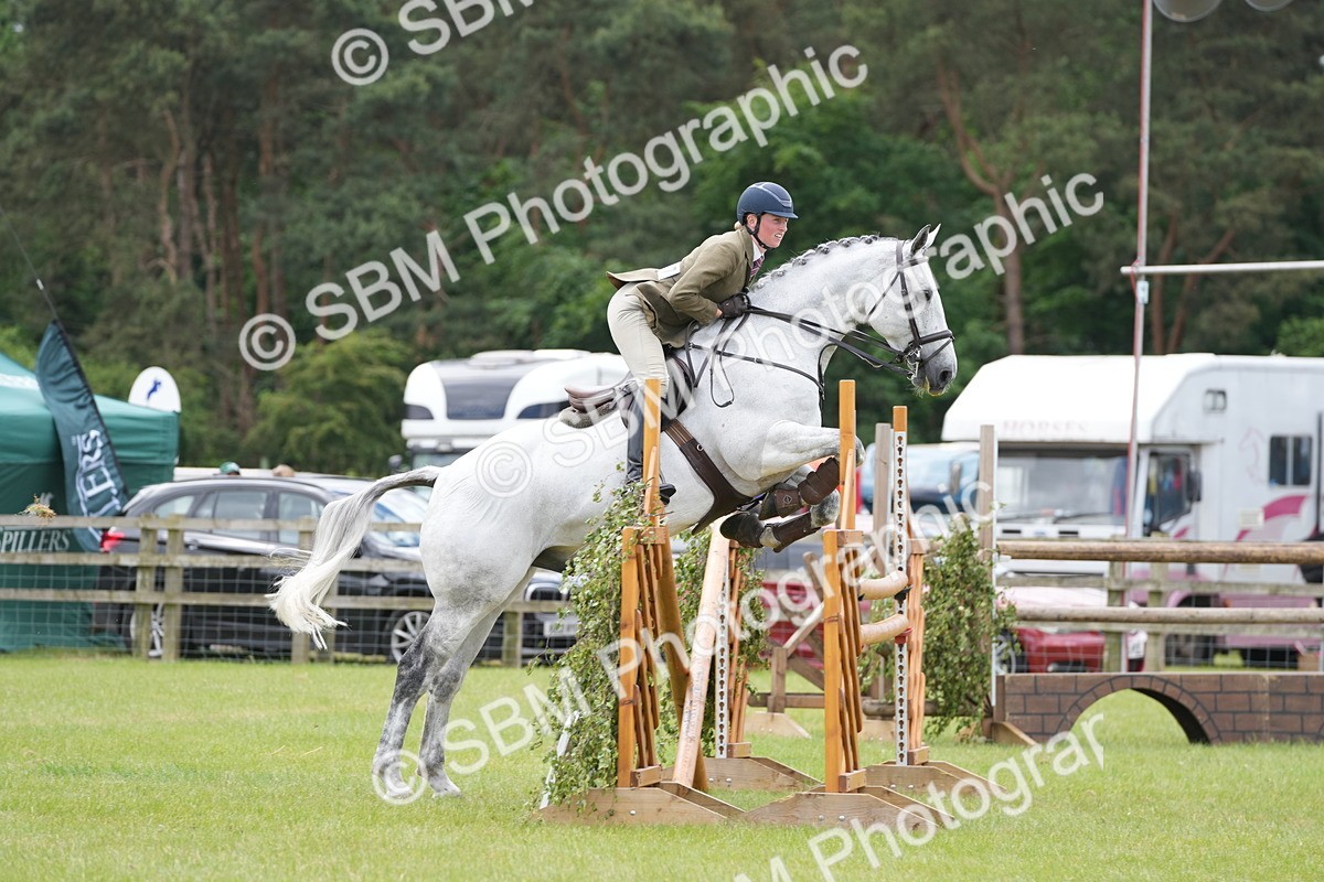 SBM_14977 - Class 100-102 - RIHS Working Hunter