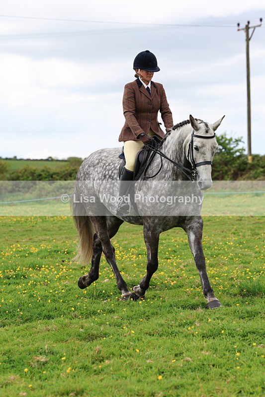 3E7A1280 - Class 7: Ridden Hunter Type