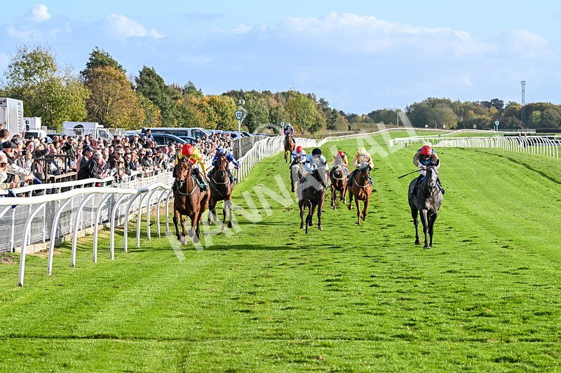 191024-Race 5-Vince Le Prince-4461 - Race 5