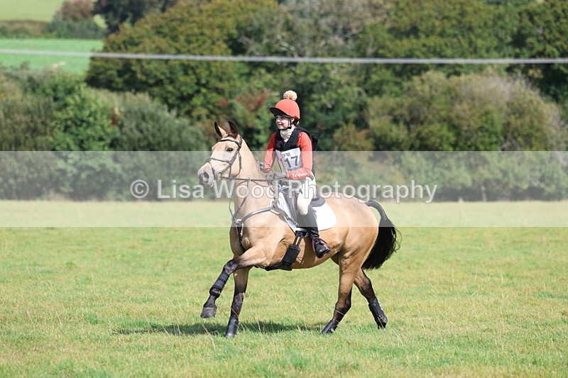 3E7A6656 - Class 1: Trebudannon Open: Pheasant Feeder
