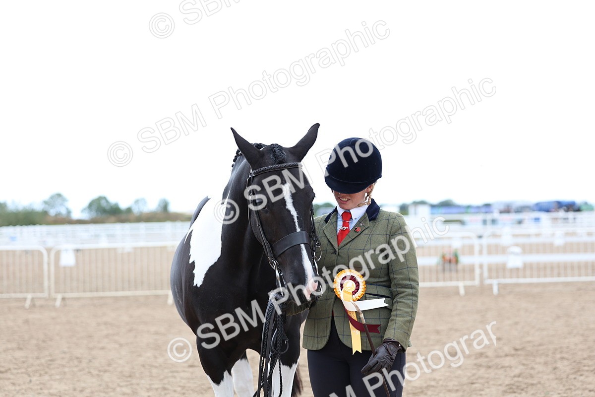 SBM_05142 - Class 27 - IH Competition Horse or Pony