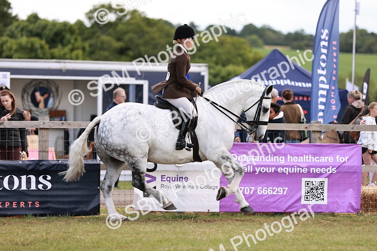 SBM_14123 - Class 85-87 - RIHS Cobs