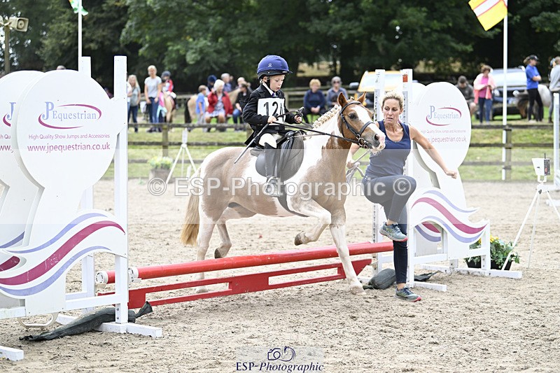 240822X-132018-08067 - 40cm LR R2 13.00 to 15.00