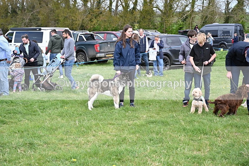 WJ6_8642 - Class 6 Best Rescue