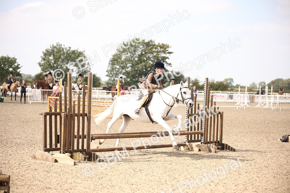 SBM_14261 - Class 407b - Working Veteran 60cm (20+)