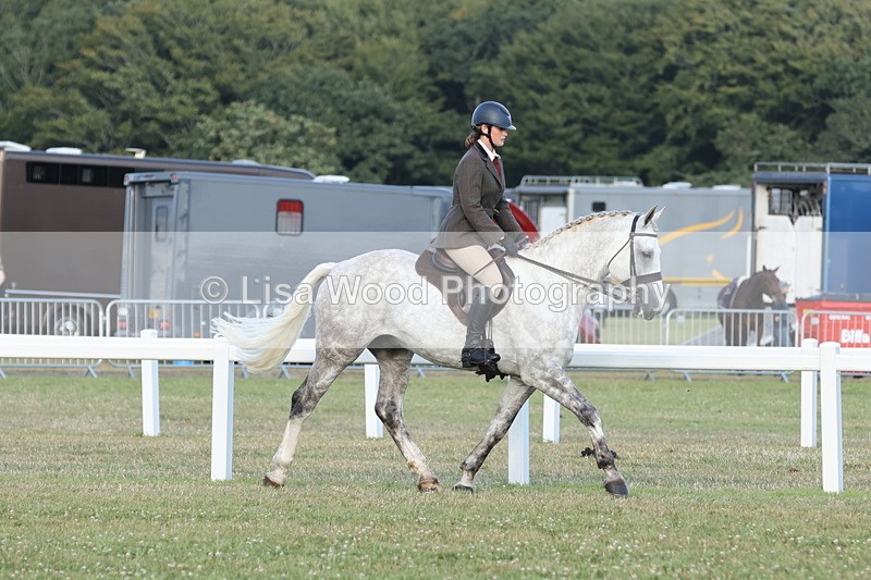 JPP_3514 - Class 22: Working Hunter 90cm