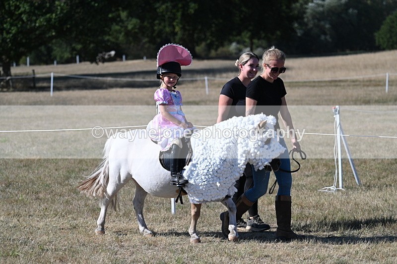 WJ7_2425 - Class 45 Fancy Dress (My Fav)