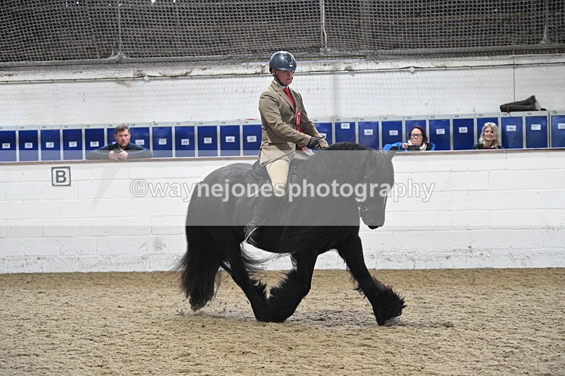 WJ7_4536 - Afternoon Champs