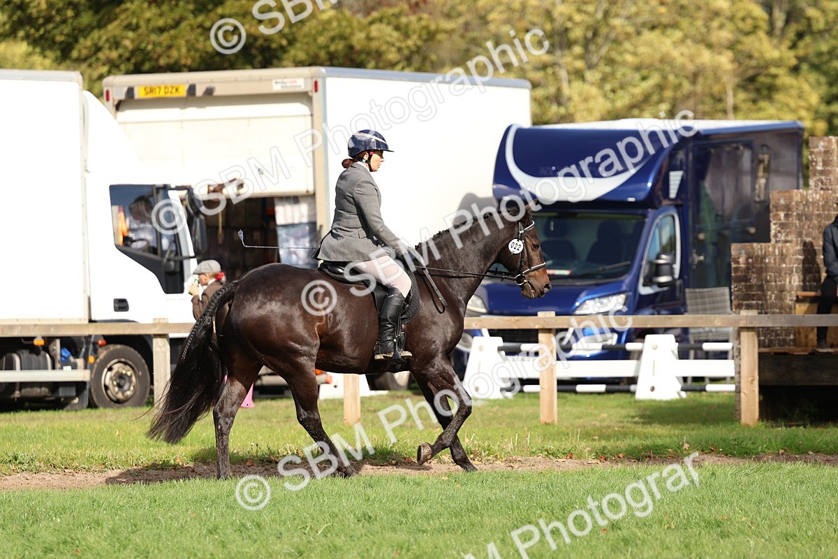 SBM_47819 - S28 - Veteran Ridden
