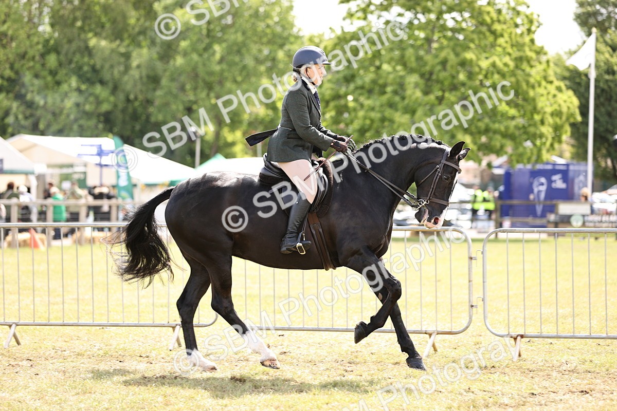 SBM_14529 - Class 88-89 - LIHS BSHA Rising Star of Ridden Hunter Type