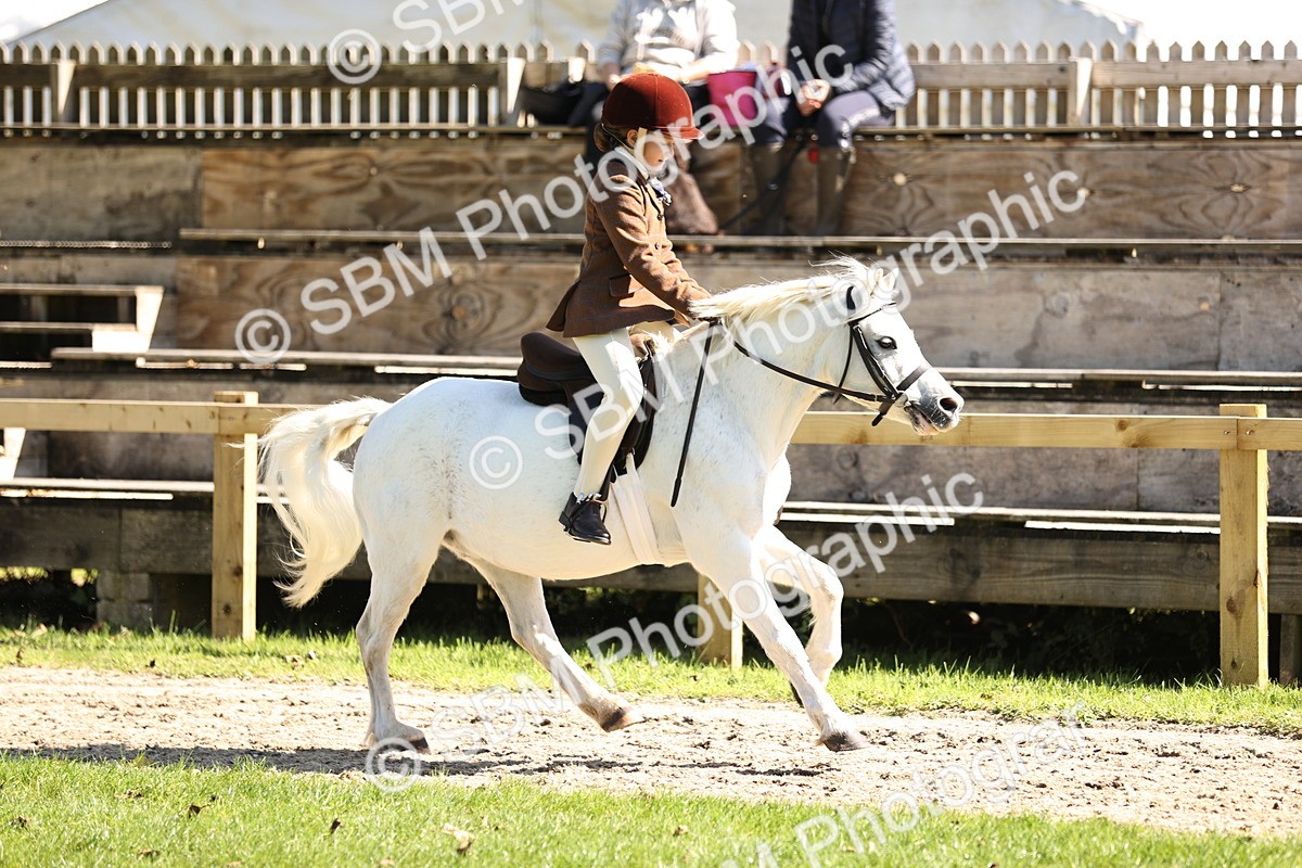 SBM_19352 - S3 - TSR Ridden Pony Showing