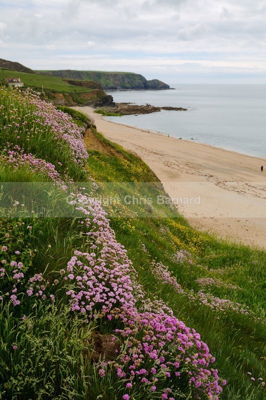  - American Poldark Tour May 31st 2018