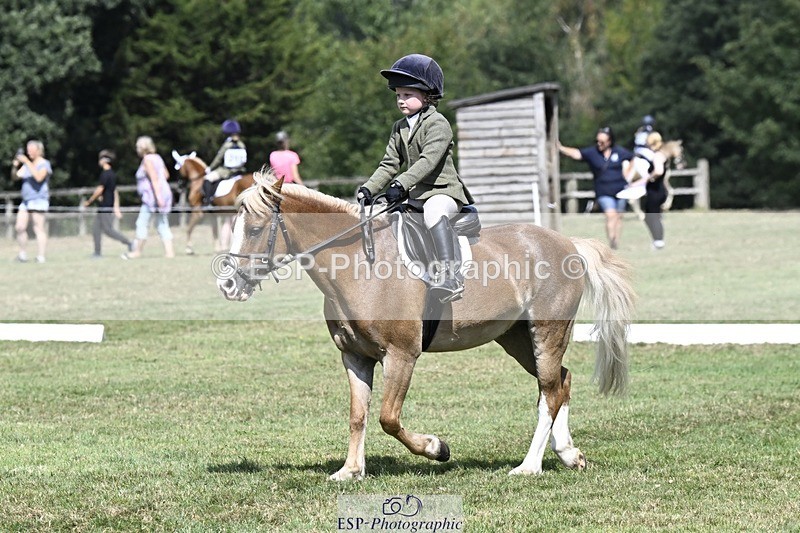 250822A-122528-21752 - DR 12.00 to End