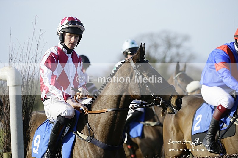 PtP 260222 674 - Kingston Blount Racing Club Point-to-Point 26/02/22