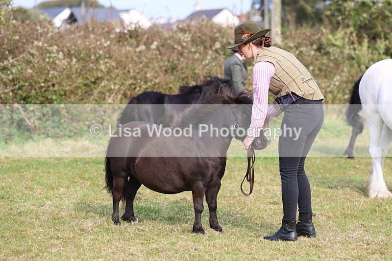 3E7A3219 - Class 12: M & M Small Breeds