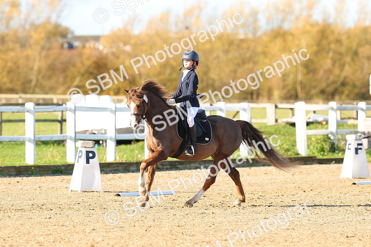 SBM_000245 - Prelim 5