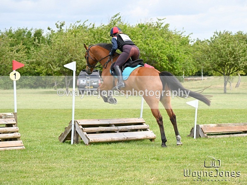 WJ6_3347 - Edited examples