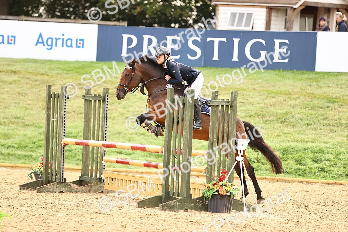 SBM_58422 - J41 - Grand Tour Horse & Pony 95cm