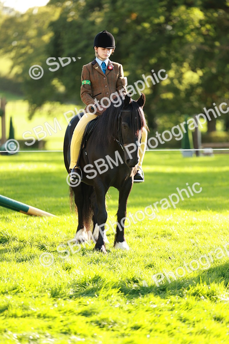 SBM_28713 - S7 - Novice & Newcomer Ridden Pony
