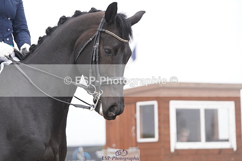 250404-082554-03760 - 002-Fiona.Gair-BRS.Kingdom