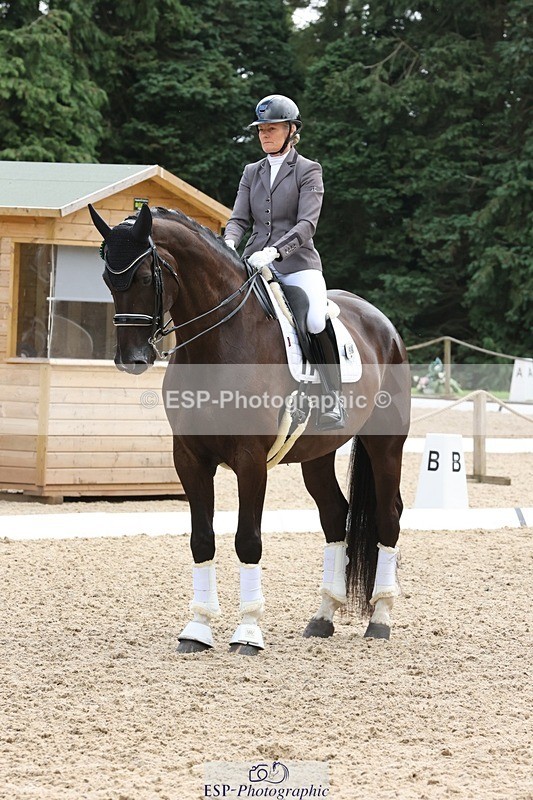 240810-132040-03294 - Medium Gold