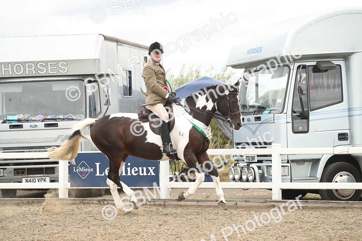 SBM_18336 - Class 509a - Working Veteran - 80cm (15-19)