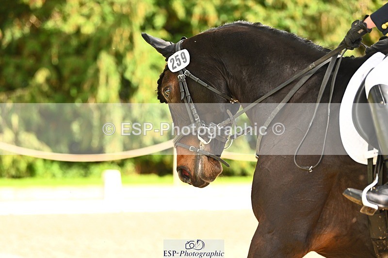 231021-153110-20873 - 259-BOSTON.IV-Rosie.Thomson-DR