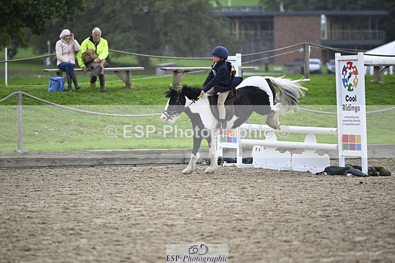 251005A-120417-03593 - Cls 08 Mini 70-75cm