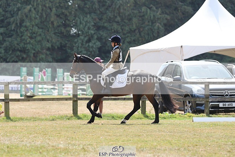 250823A-134232-31575 - Arena C