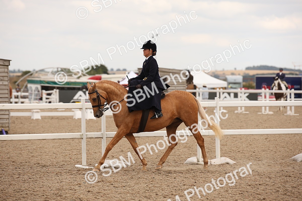SBM_05371 - Class 22 SSA Equitation