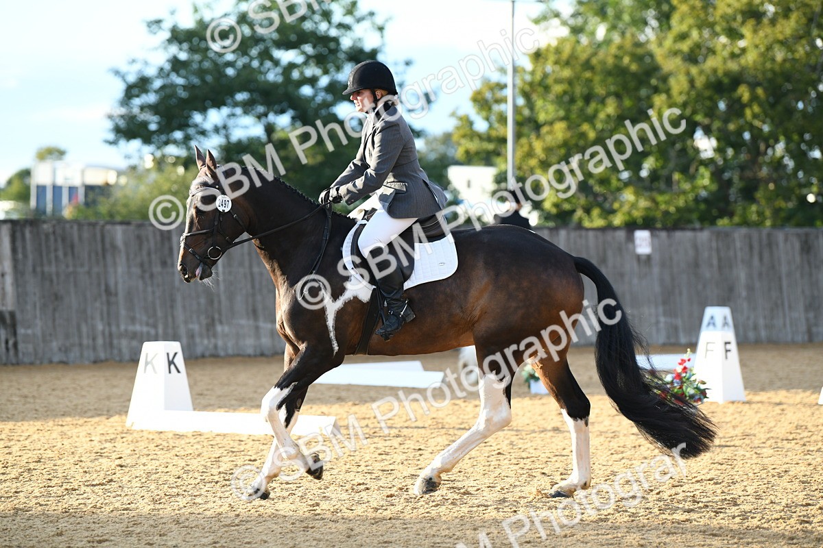 SBM_13427 - D19 Small Tour Championship Elementary 42