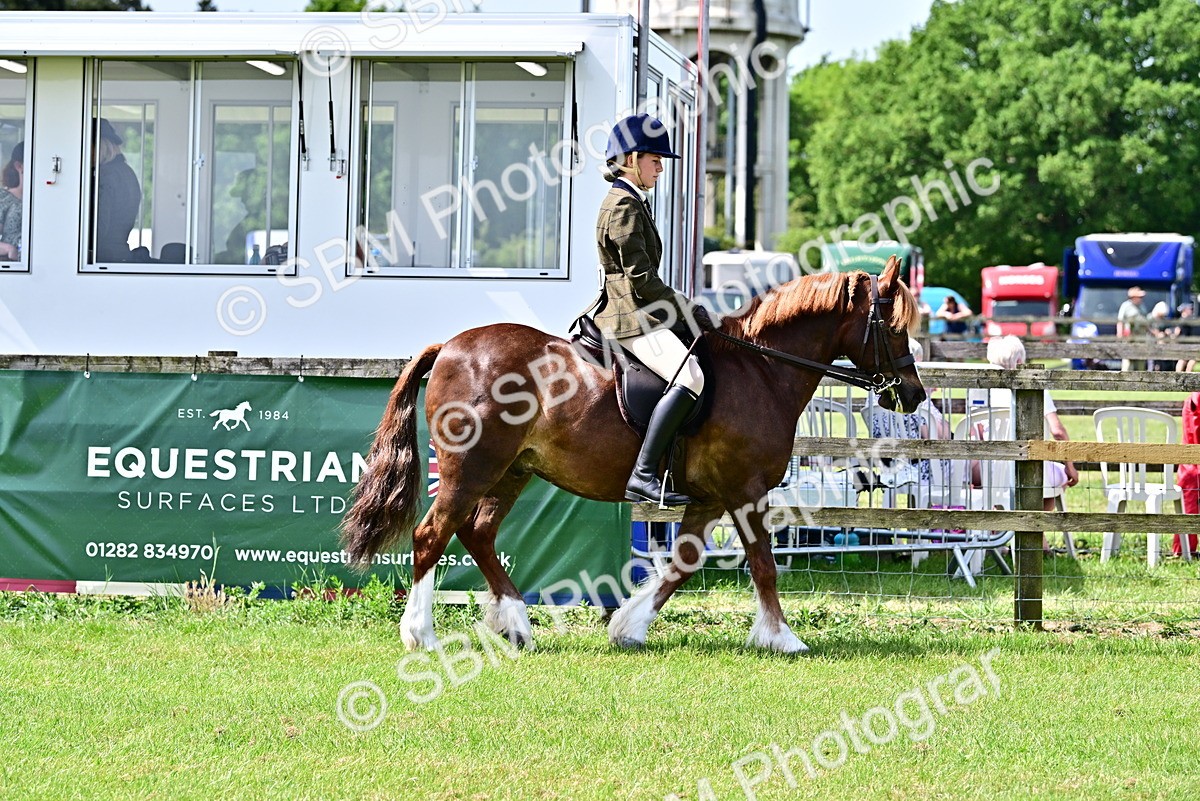 SBM_03706 - Class 58 - TSR  Ridden Veteran Amateur of the year