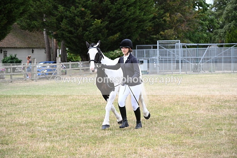 WJ6_4259 - Class 10 Coloured In-hand