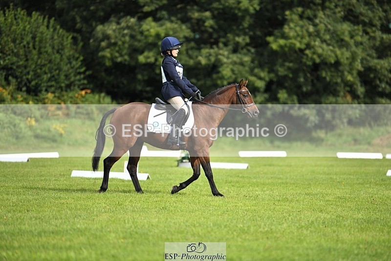 230826-094012-15189 - Sections C & D 9 to 10am