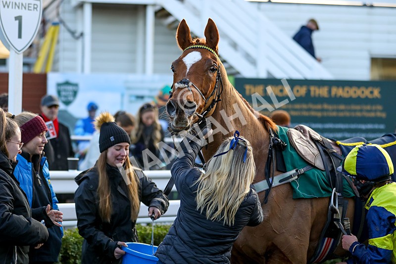 010124-Race 4-Justus-4163 - Race 4