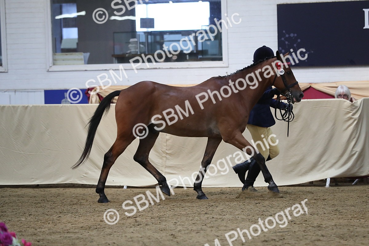 SBM_07332 - Class 10R Regional Ridden Diamond