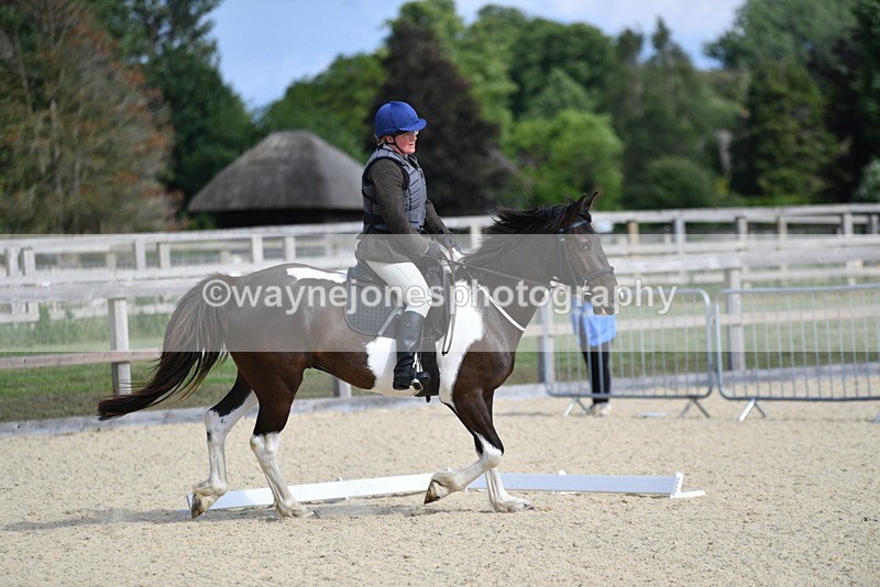 WJ5_7886 - Time 16:56 to 17:14