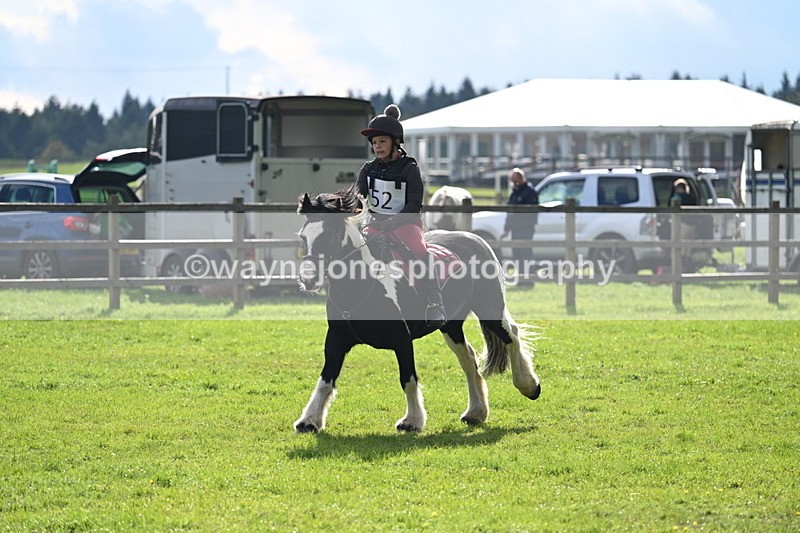 WJ7_3716 - 40cm Time 10:26 to 10:42