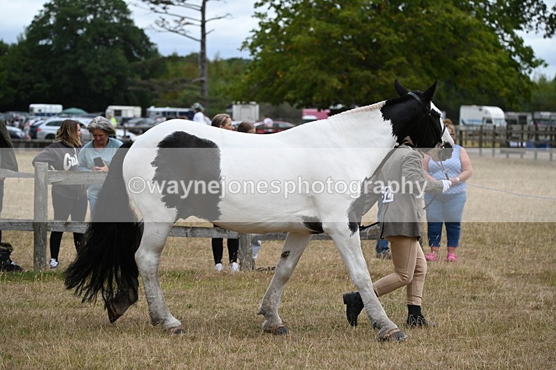 WJ6_8372 - Class 10 Coloured in Hand