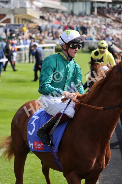 yr18082021r3-26 - Race 3 3.00pm Sky Bet Great Voltigeur Stakes