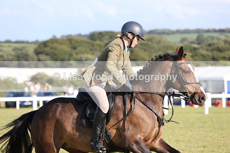 JPP_3149 - Class 21: Working Hunter 80cm